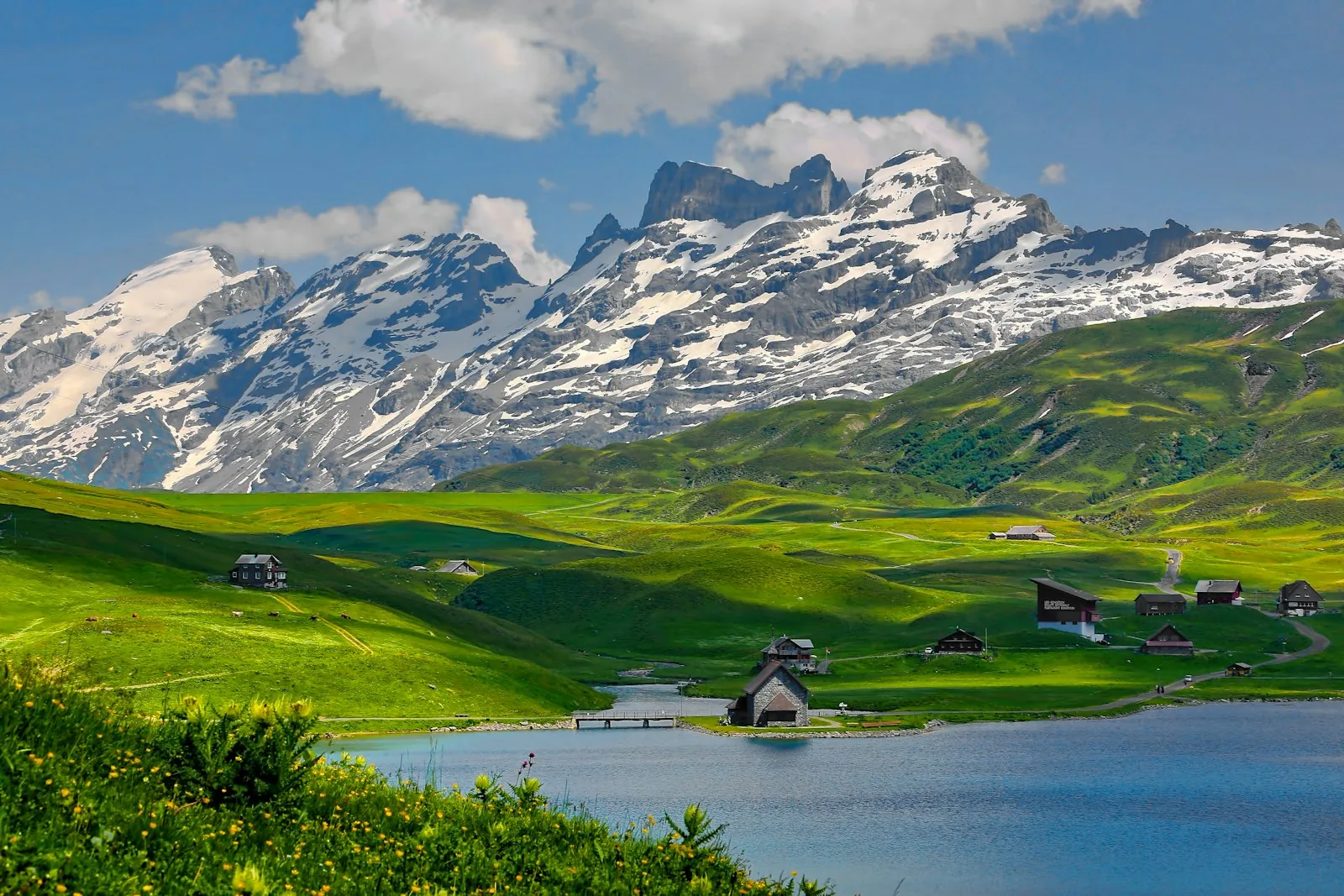 Swiss Alps, snow-capped peaks above an alpine meadow and lake